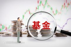 国家大基金对公司参股情