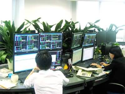 龙洲股份：股票交易异常波动